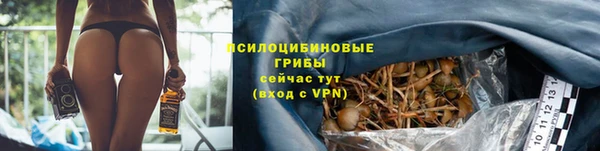 меф Алексин