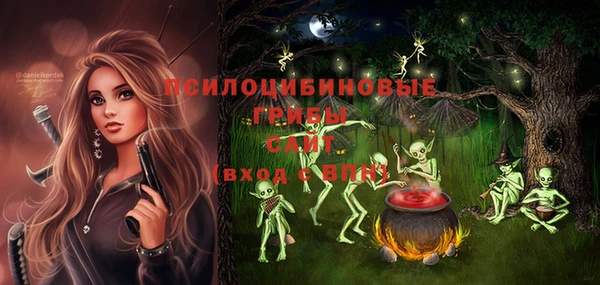 spice Алзамай
