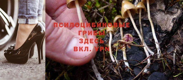 spice Алзамай