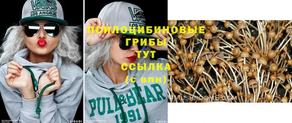 spice Алзамай