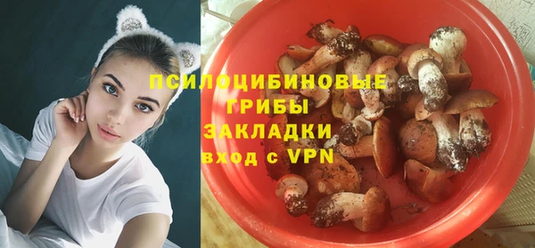 a pvp Алексеевка