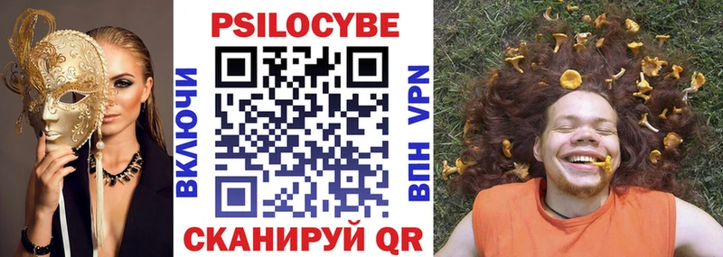 продажа наркотиков  Дедовск  Галлюциногенные грибы Psilocybe 